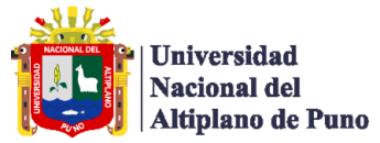 Universidad Nacional del Altiplano